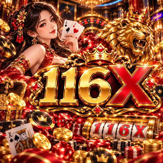 116X